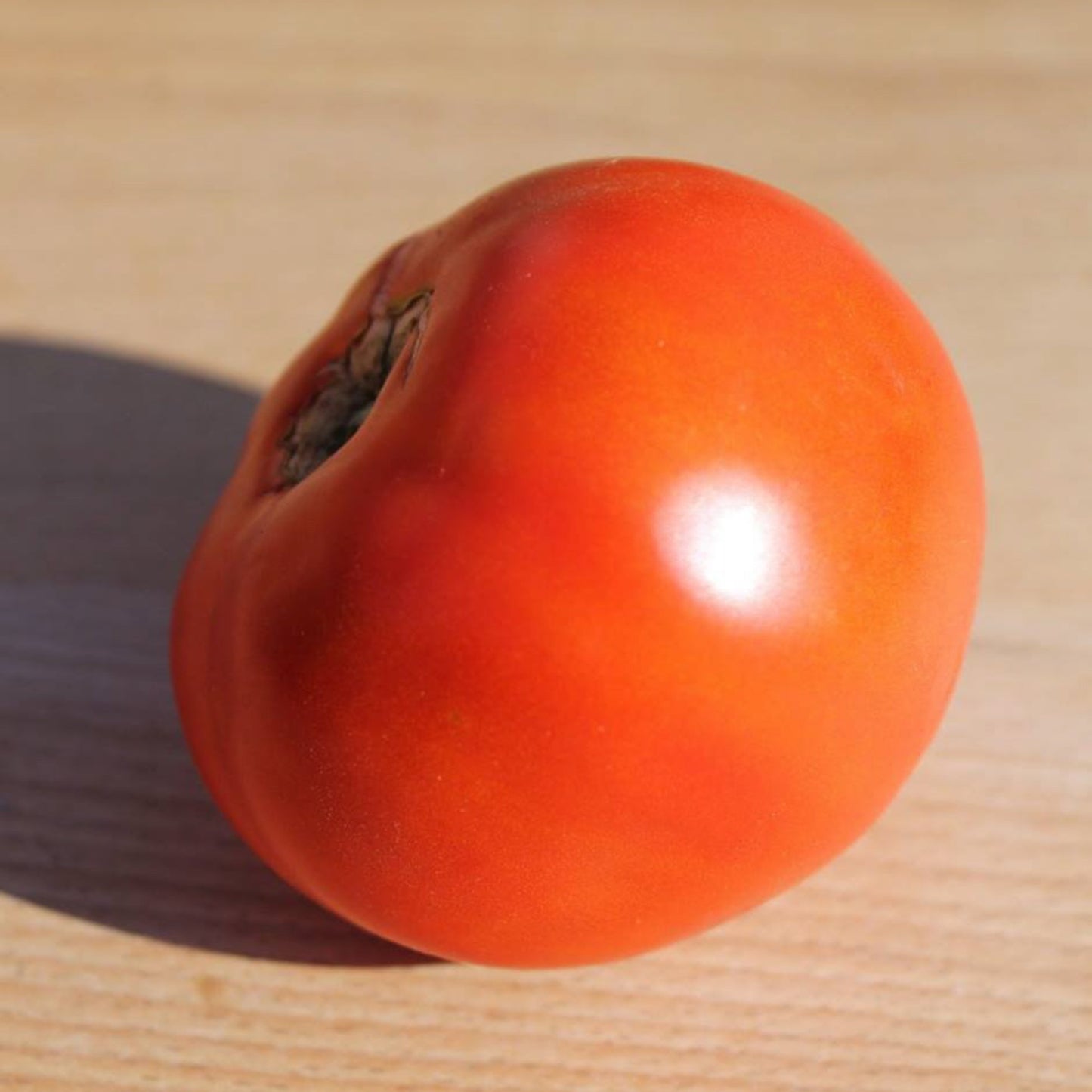 Gildo Pietroboni Tomato