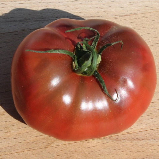 Black Brandywine Tomato
