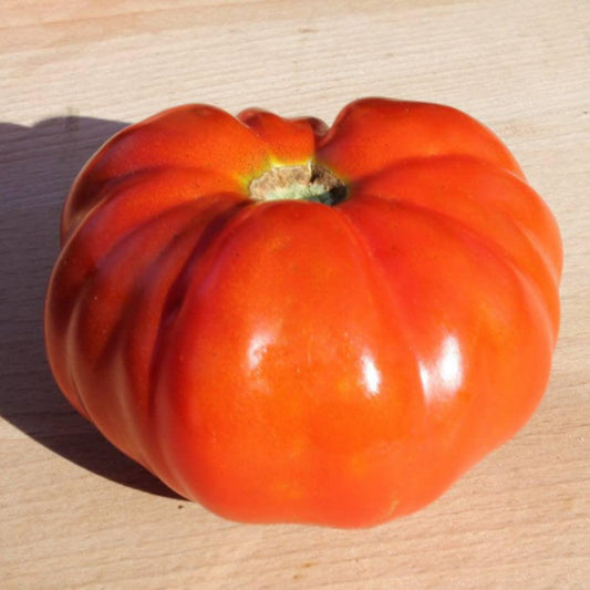 Chianti Rose Tomato