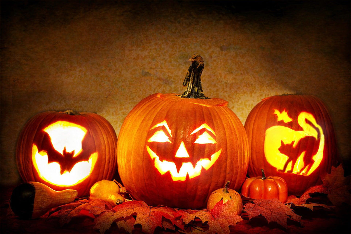 Connecticut Field Pumpkin - Cheap Seeds, LLC