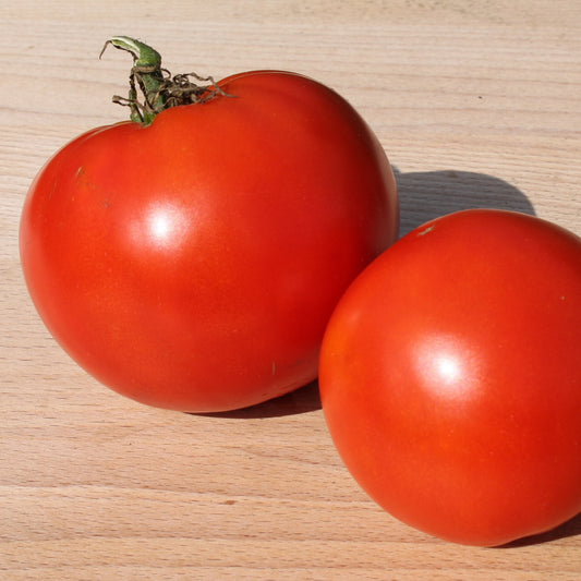 Two ripe Cosmonaut Volkov Red heirloom tomatoes on a wooden board, medium-sized and juicy, ready to eat