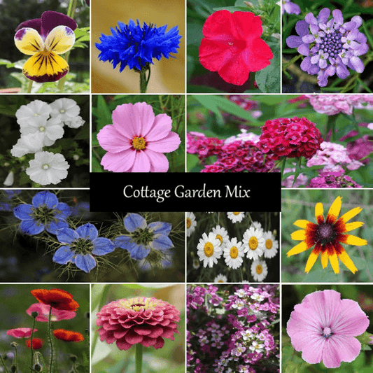 Cottage Garden Seed Mixture - Cheap Seeds, LLC