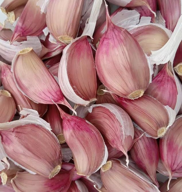 Close-up of Creole Red garlic cloves showing firm, deep red skins, ready for planting or culinary use