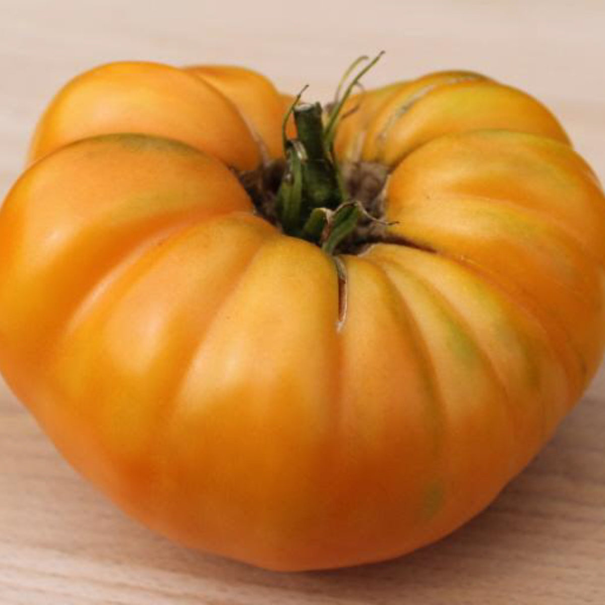 Ripe golden Dr. Wyche's Yellow heirloom tomato