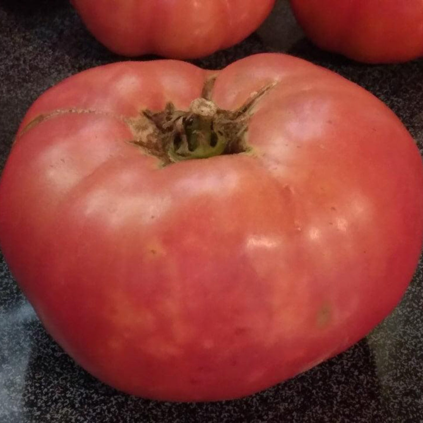 Ferris Wheel Tomato