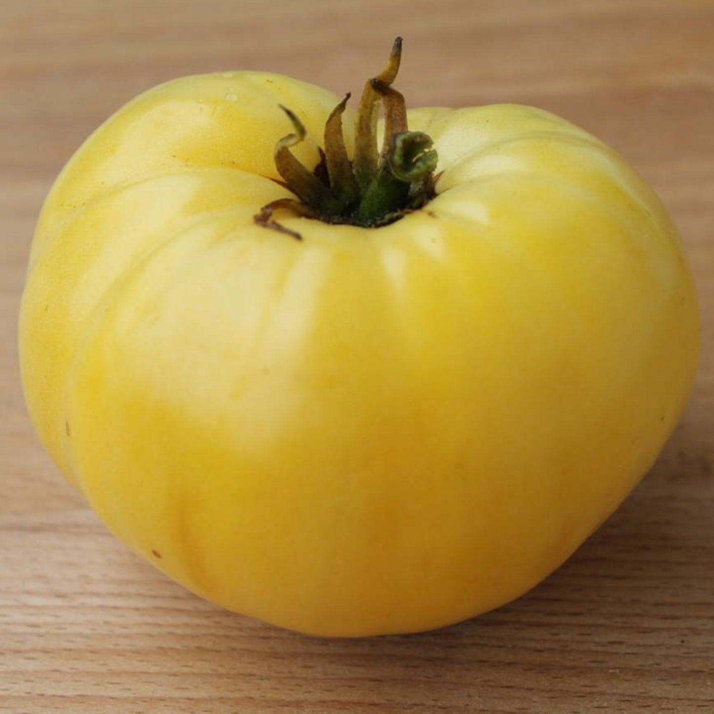 A large, ripe Great White tomato, showcasing its creamy-white color and smooth, tender skin.