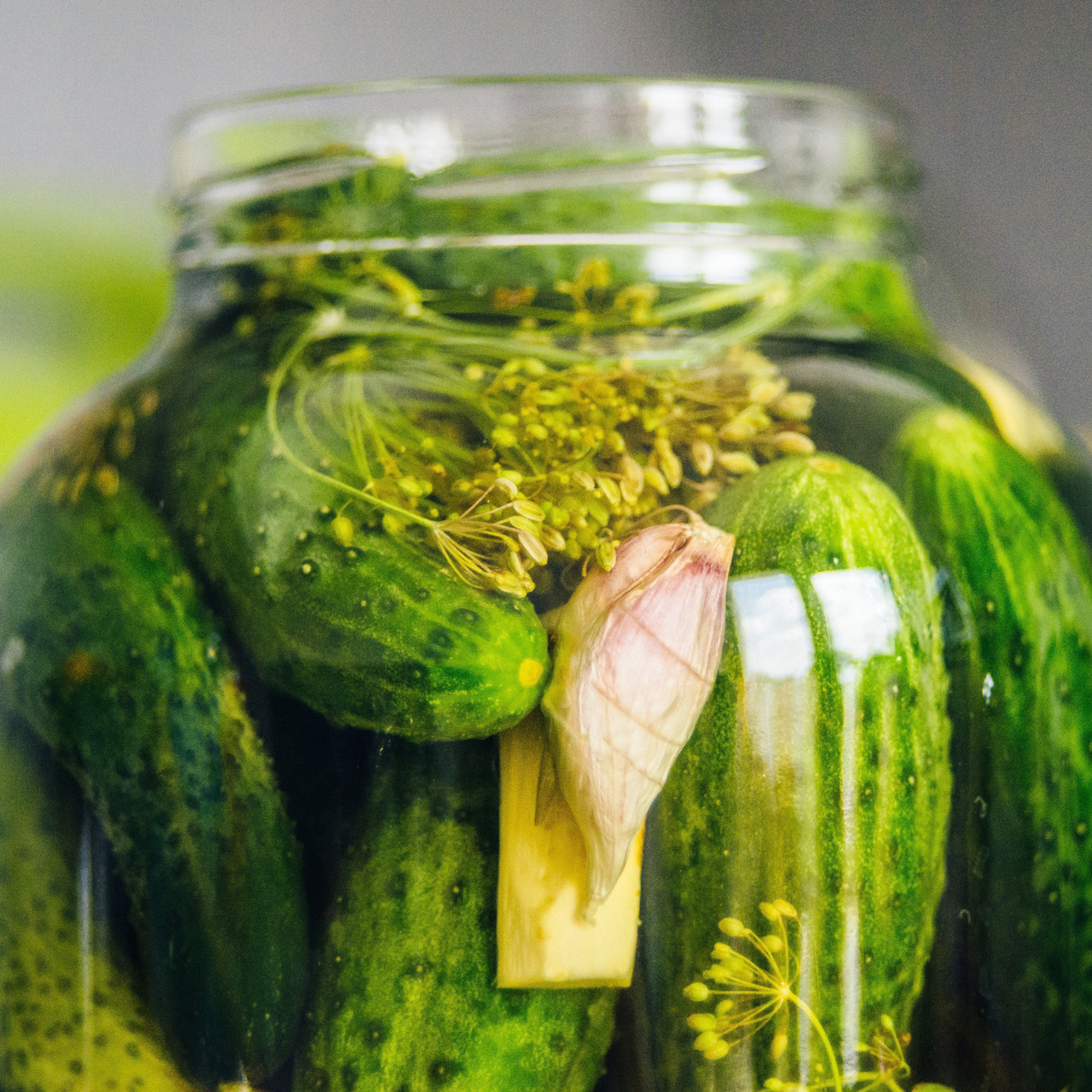 Homemade Pickles cucumbers preserved as pickles in a glass jar