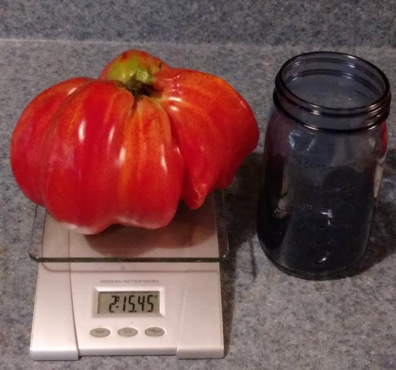 Irish Tomato - Cheap Seeds, LLC
