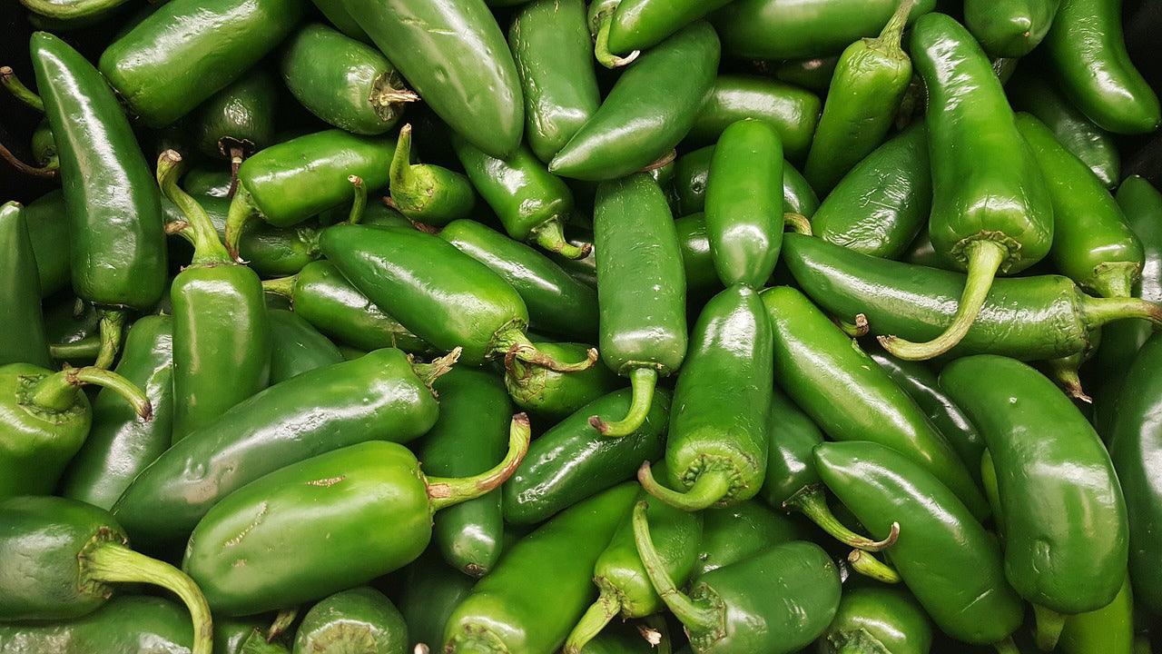 Jalapeno Hot Pepper - Cheap Seeds, LLC