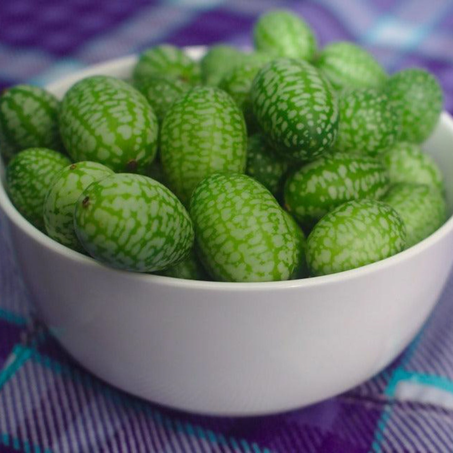 Mexican Sour Gerkin