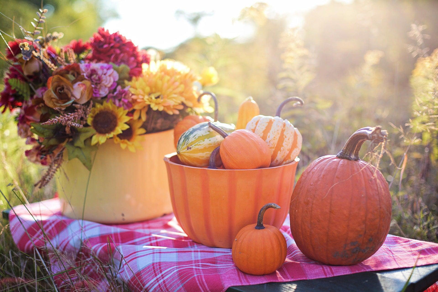 Sugar Pie Pumpkin - Cheap Seeds, LLC