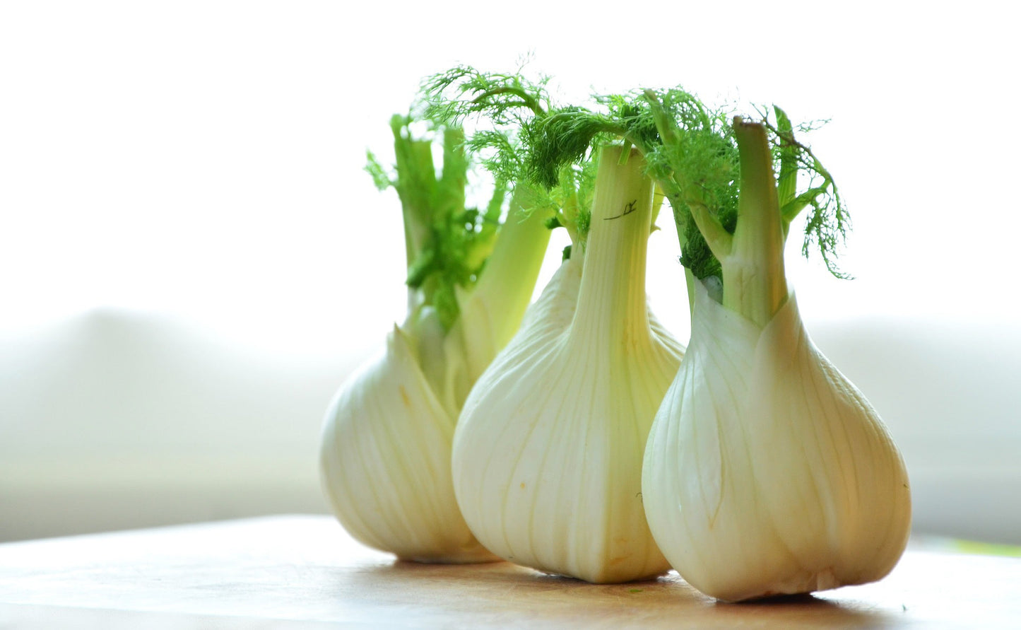up close view of fennel bulbs on a counter

