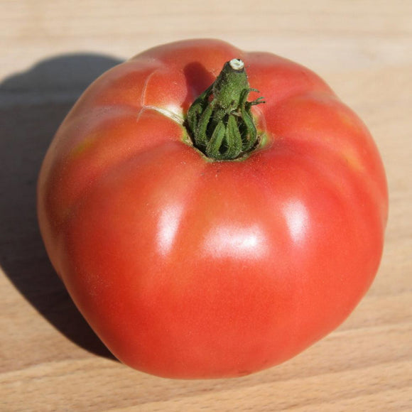 Carol Chyko's Big Paste Tomato