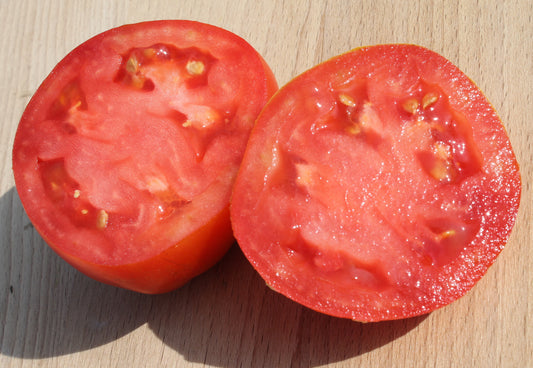 Abe Lincoln Tomato
