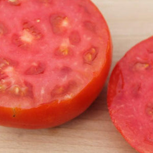 Aker's West Virginia Tomato