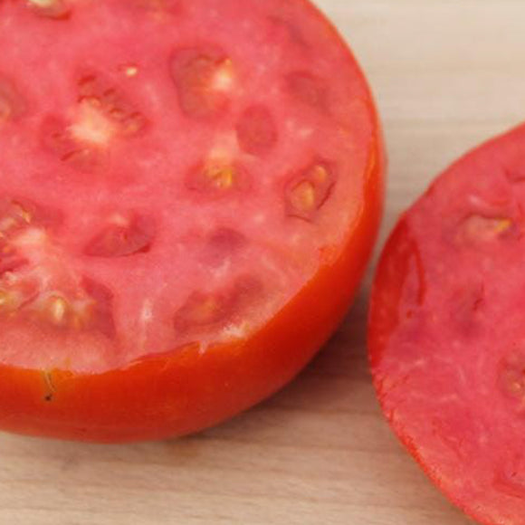 Aker's West Virginia Tomato