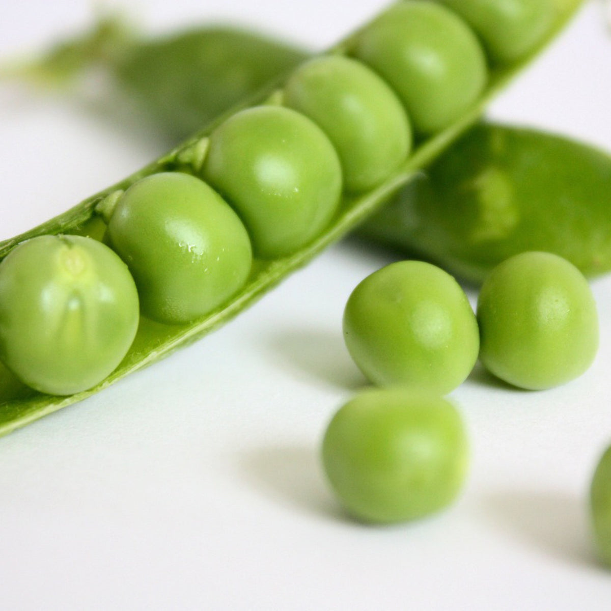 Alaska Pea green pod with fresh shelled peas