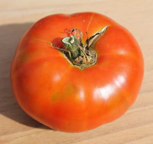 Alpha Pink Tomato