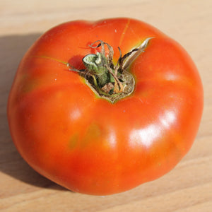 Alpha Pink Tomato