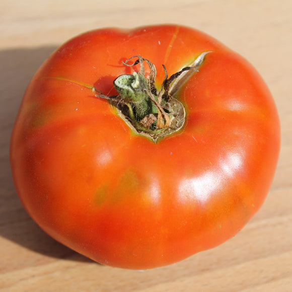 Alpha Pink Tomato