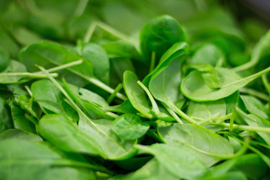 America Spinach - Cheap Seeds, LLC