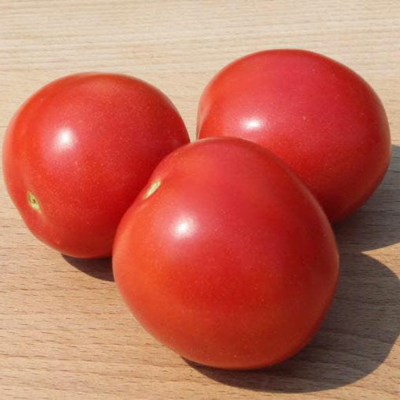 Amish Salad Tomato