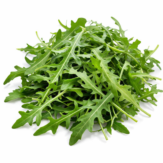 arugula leaves isolated on white background for salad greens and garden harvest