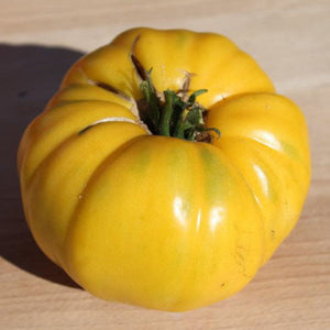 Azoychka Tomato