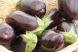 Black Beauty Eggplant - Cheap Seeds, LLC