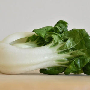 Bok Choy Cabbage