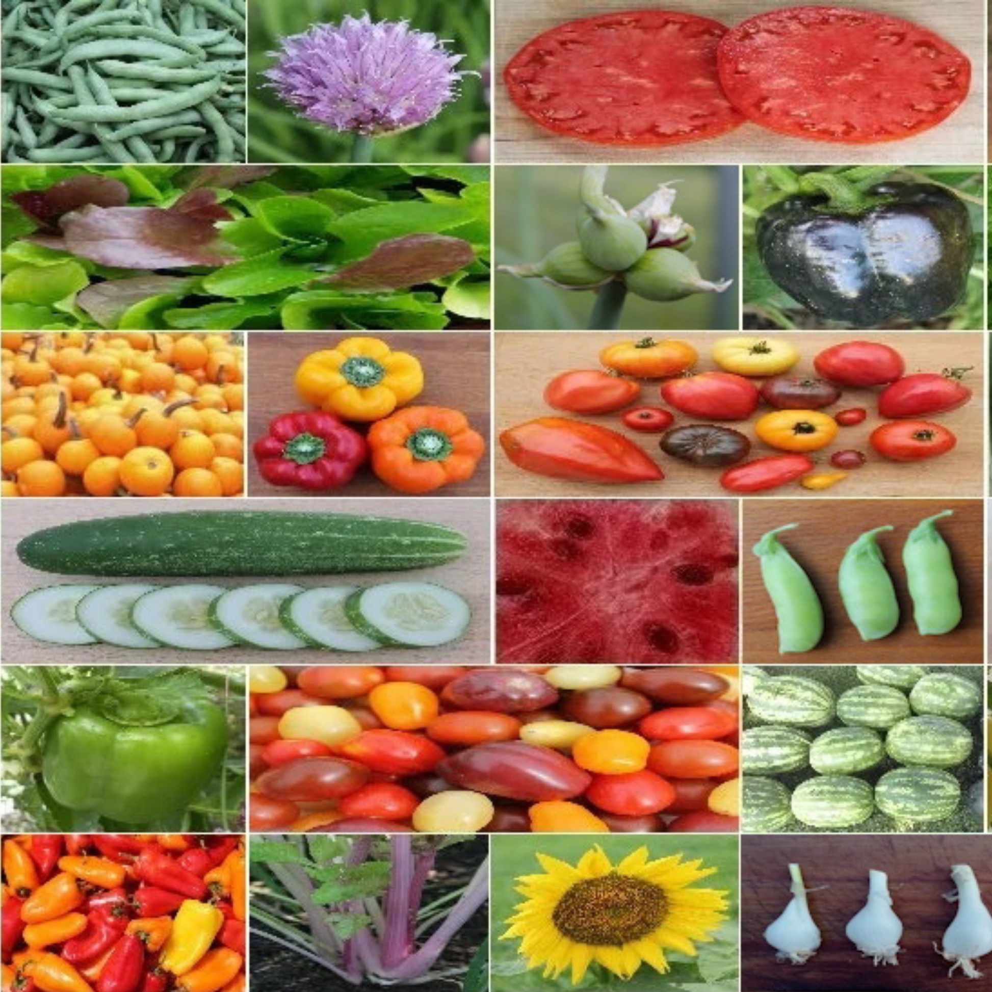 Build your own heirloom seed collection with vegetables, tomatoes, herbs and flowers