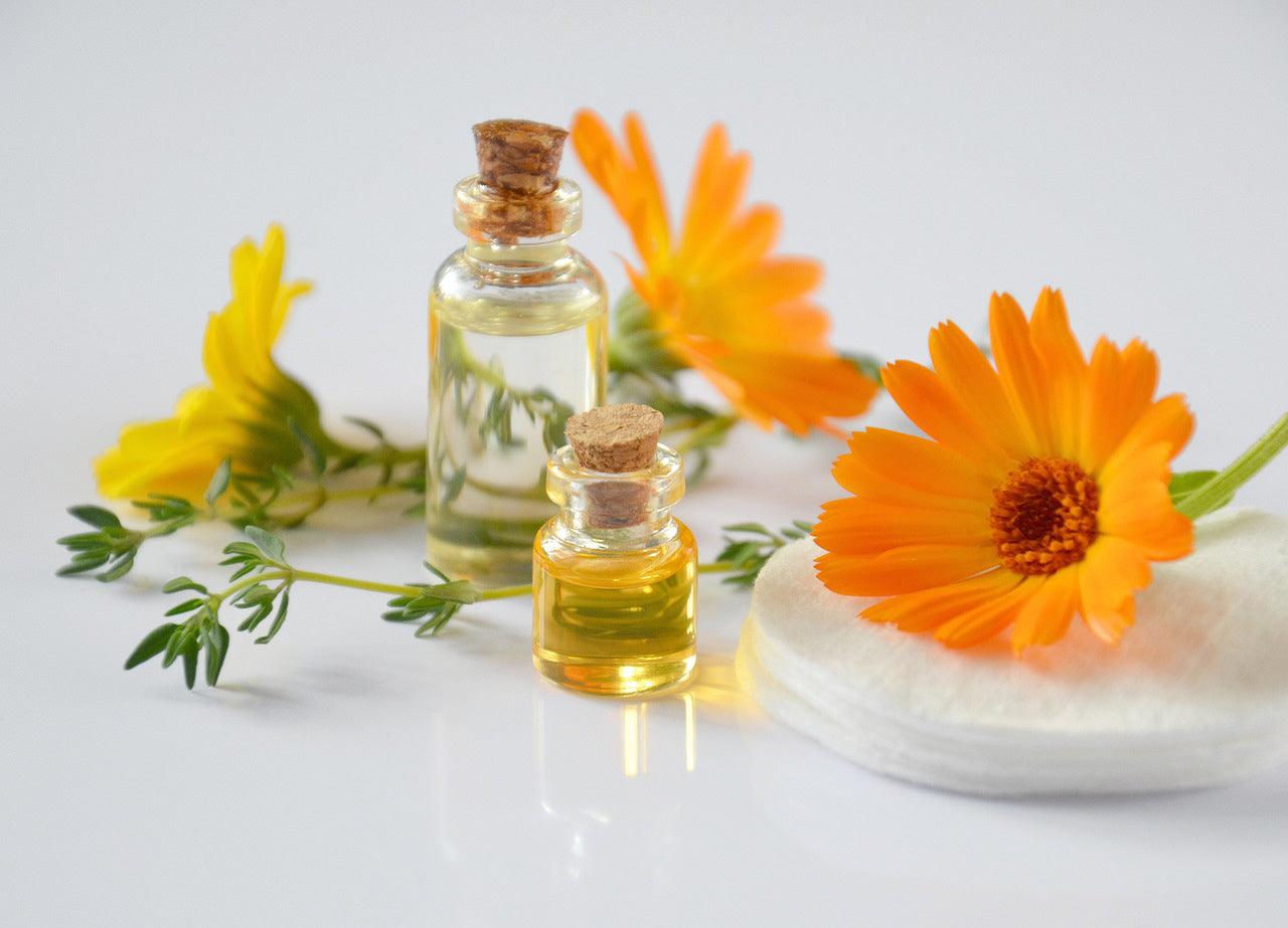 calendulas