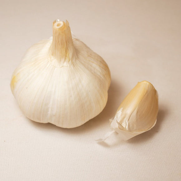 California Soft Garlic