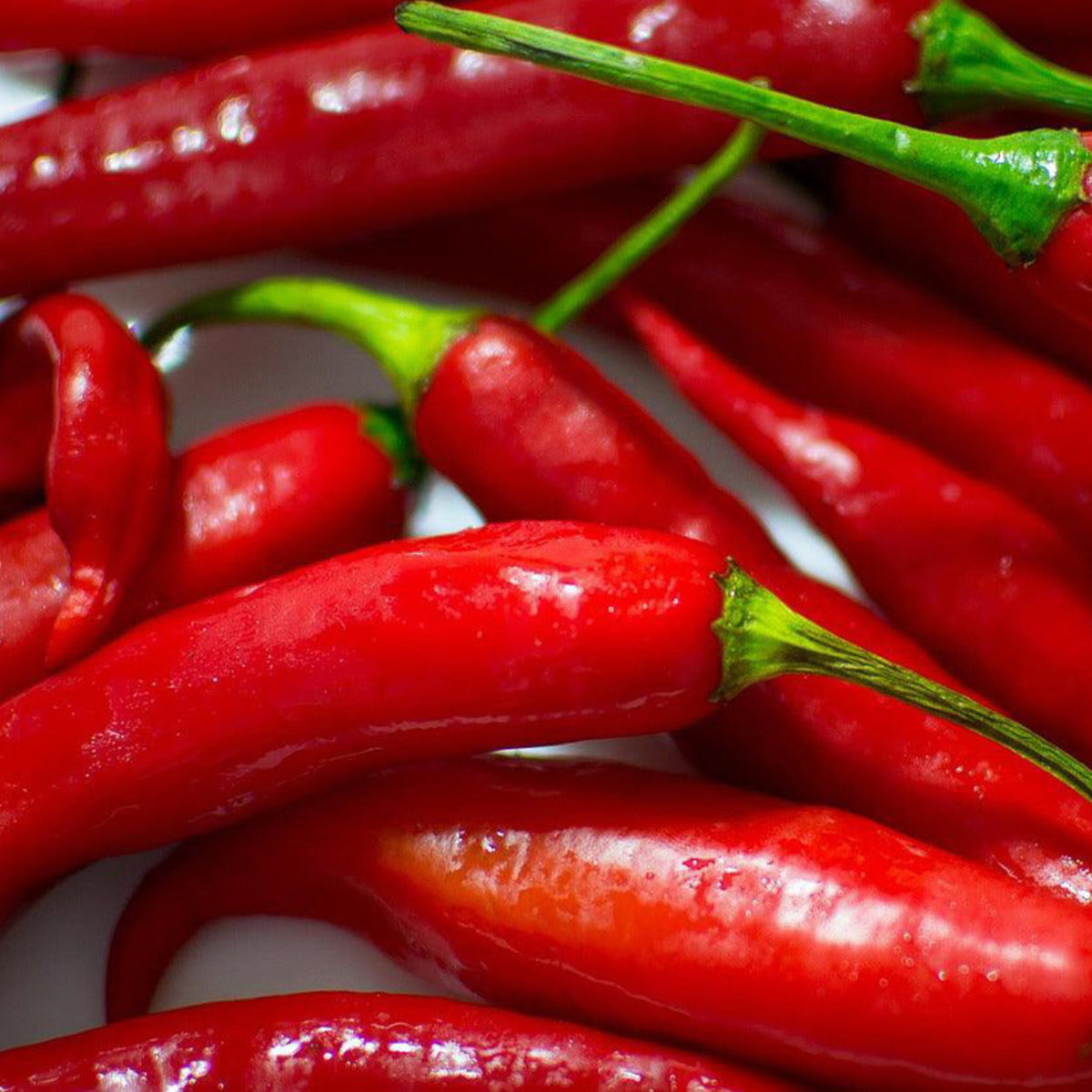 Harvested ripe red Cayenne peppers with green stems