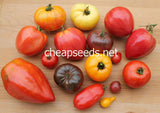 Heirloom Tomato Seeds Mix