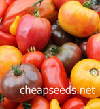 Heirloom Tomato Seeds Mix