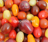 Heirloom Tomato Seeds Mix