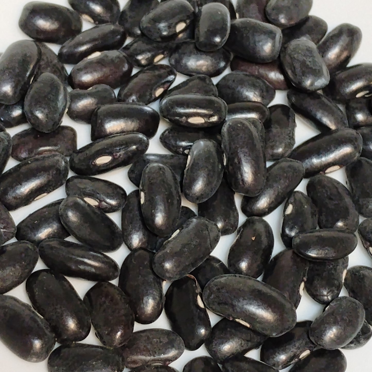 Close-up of black beans on a white background