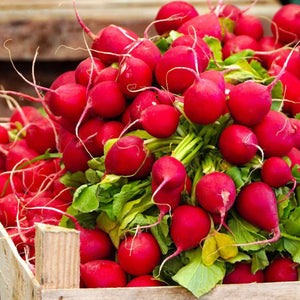 Cherry Belle Radish