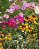 Cottage Garden Seed Mixture