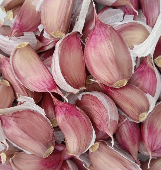 Close-up of Creole Red garlic cloves showing firm, deep red skins, ready for planting or culinary use