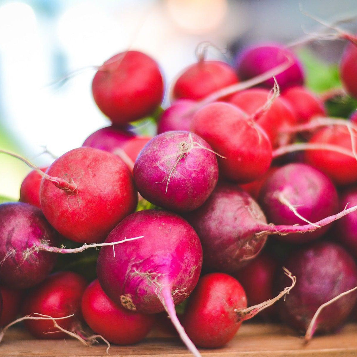 Easter Egg radish mix with colorful red, pink and purple radishes