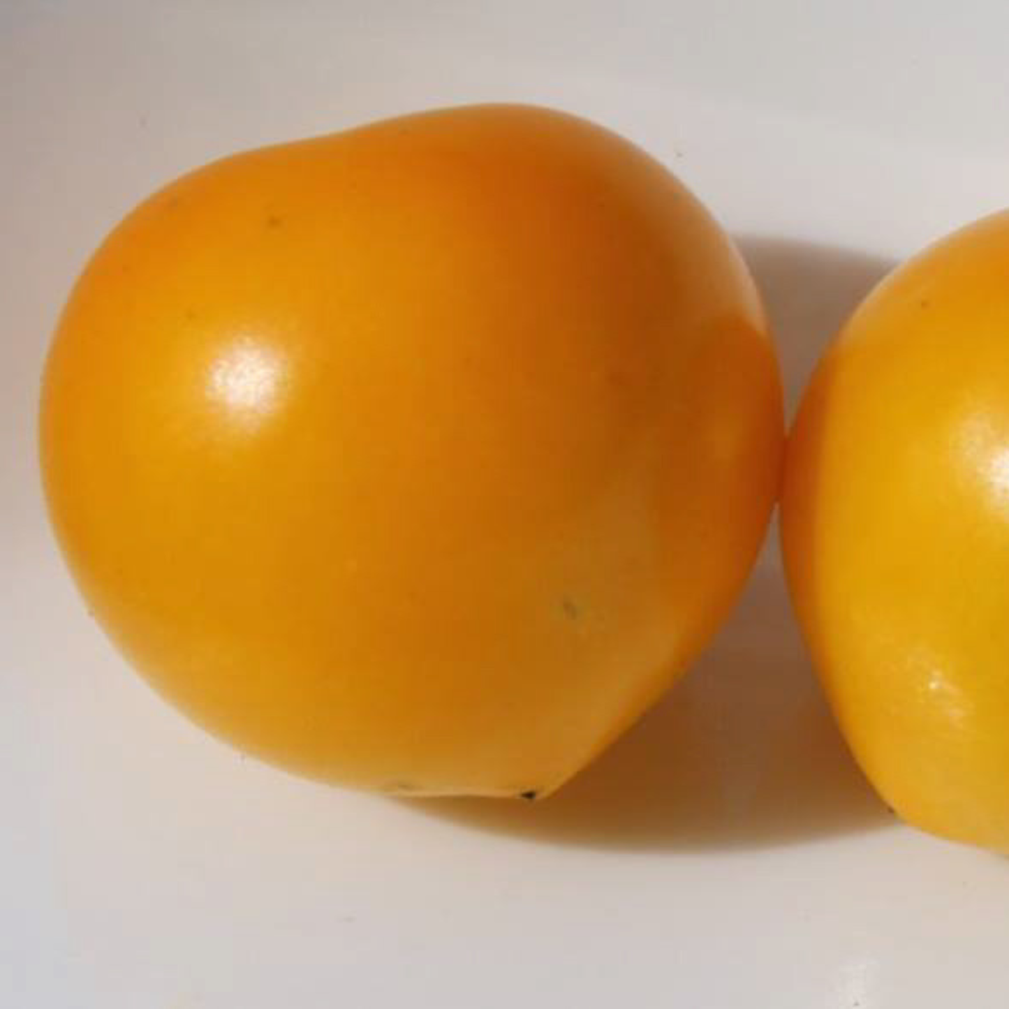 Close-up of ripe Floragold Basket micro dwarf golden-yellow cherry tomatoes