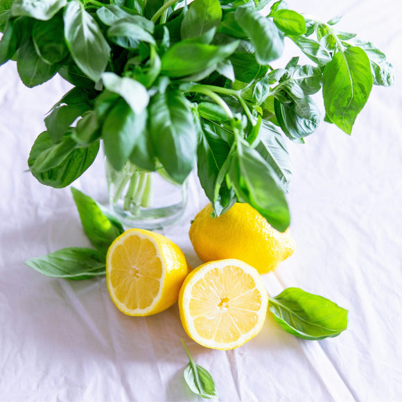 Lemon Basil