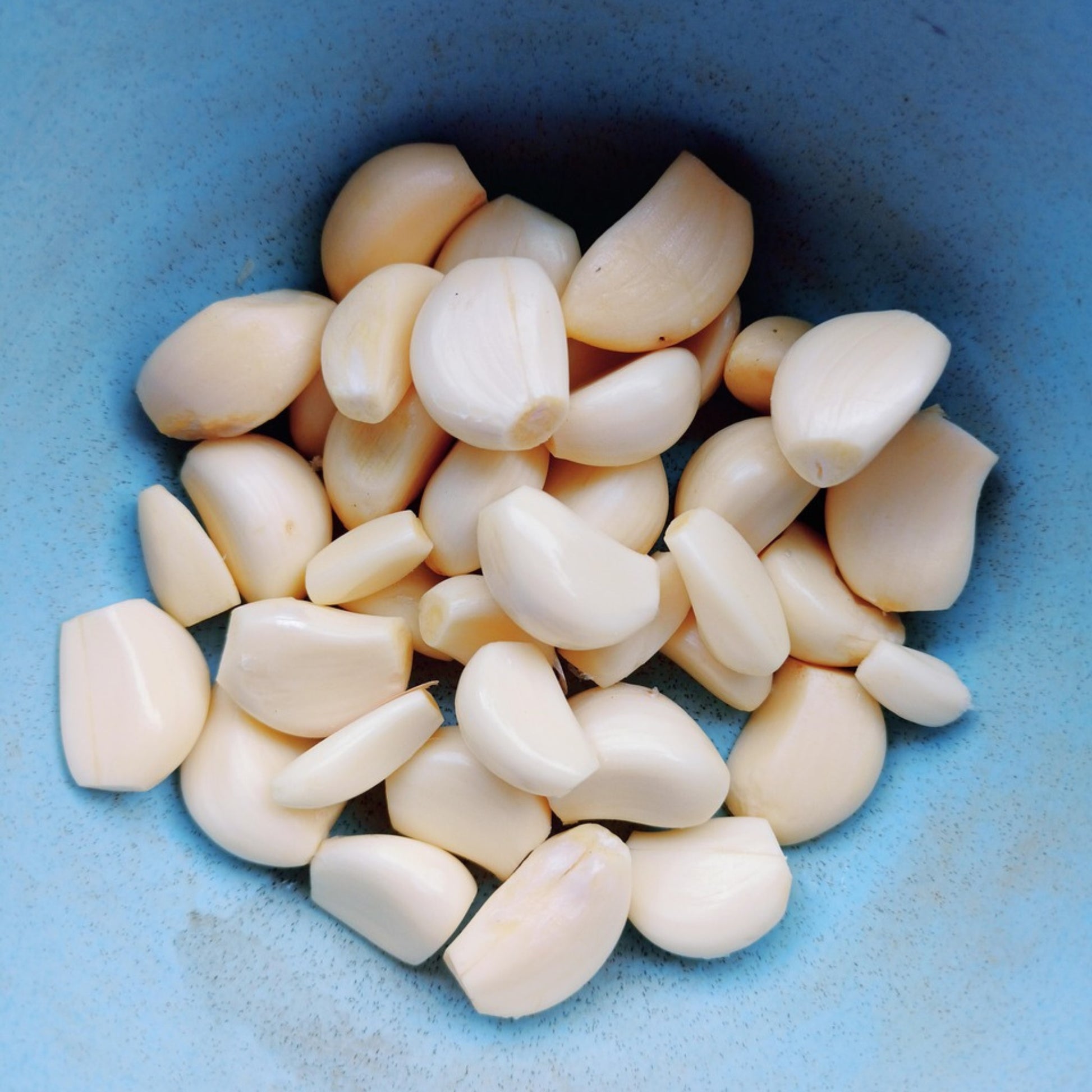 A collection of whole garlic cloves with rose-hued skins on a blue surface.