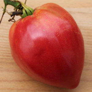 German Red Strawberry Tomato