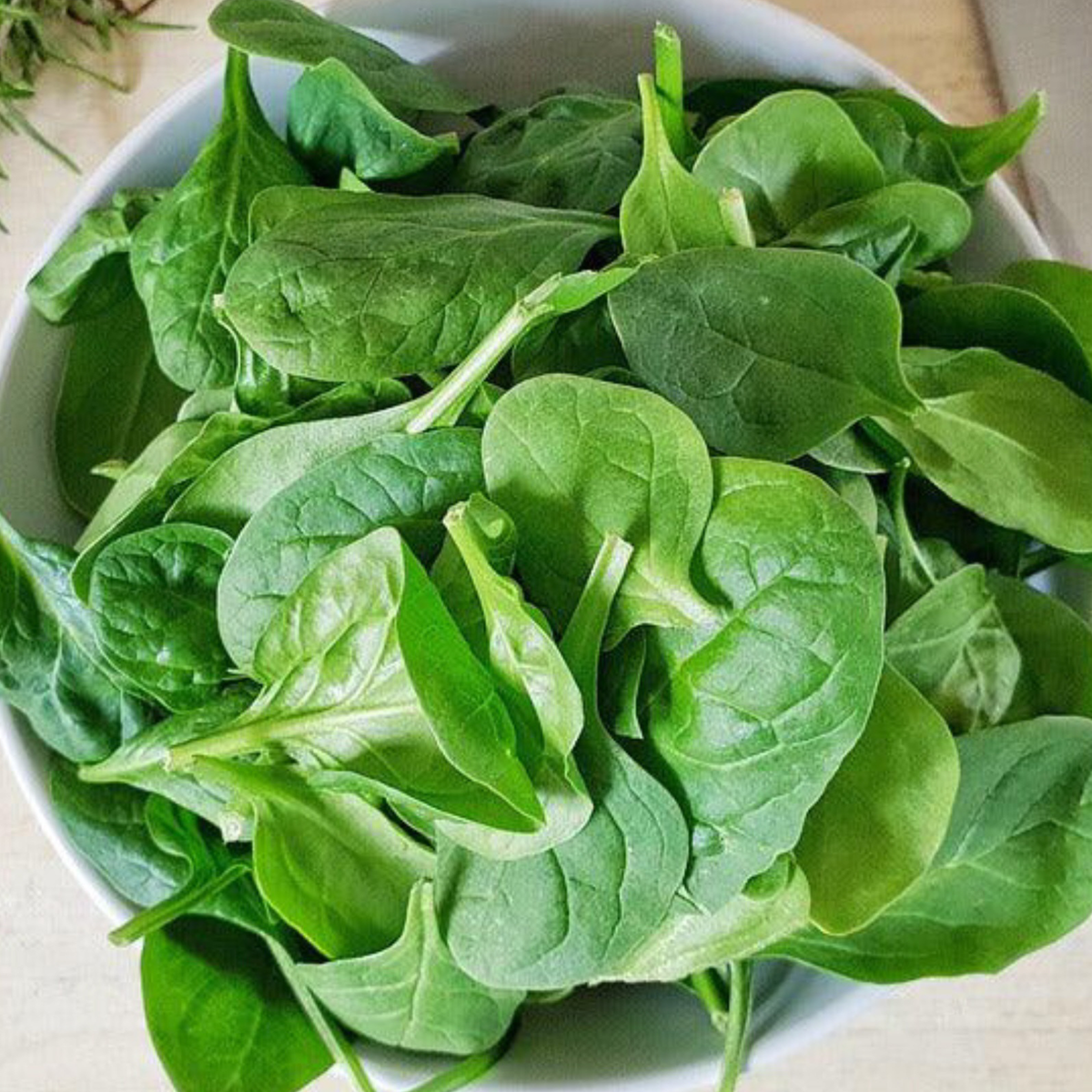 A bowl of fresh Giant Noble Spinach leaves on a wooden surface.