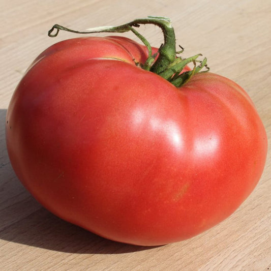 Red tomato with green stem on a wooden surface