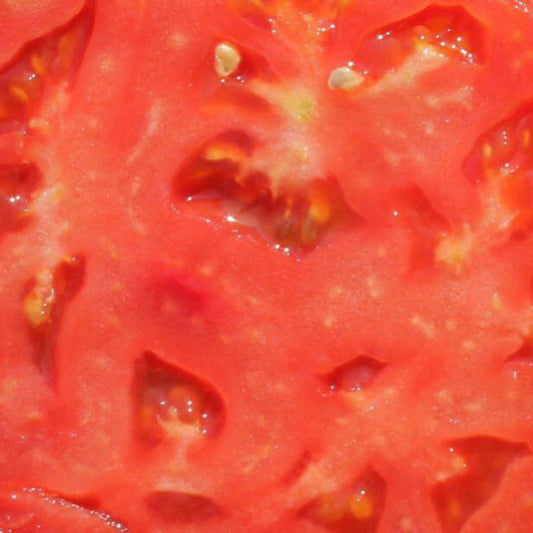 Grandpa Charlie Tomato
