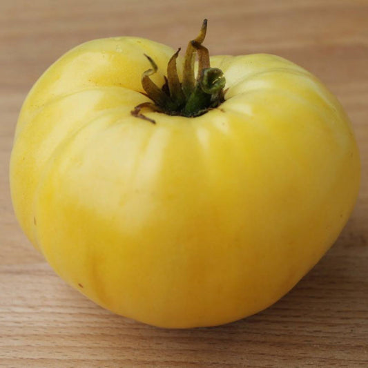 A large, ripe Great White tomato, showcasing its creamy-white color and smooth, tender skin.